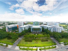 12 trường đại học Việt Nam vào bảng xếp hạng thành tựu học thuật thế giới
