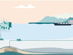 Na Uy lên kế hoạch lưu trữ CO2 dưới đáy biển