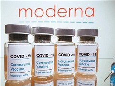 Mỹ phê duyệt vaccine Covid-19 thứ hai