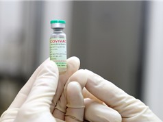 Việt Nam thử nghiệm vaccine Covid-19 thứ hai