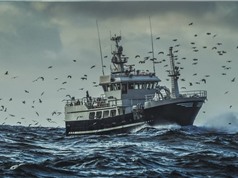 Ứng dụng AI và dữ liệu vệ tinh tìm kiếm tàu đánh cá sử dụng lao động cưỡng bức