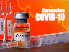 Khó đạt miễn dịch cộng đồng Covid-19 trong năm 2021