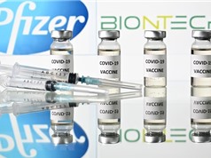 Pfizer và BioNTech bắt đầu thử nghiệm vắcxin trên phụ nữ mang thai