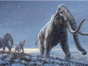 DNA cổ đại nhất từng được tìm thấy: Bộ gen của voi ma mút