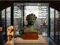 Bảo tàng Pompeii mở cửa lại để trưng bày những phát hiện đáng kinh ngạc
