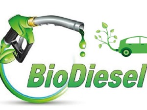 Sản xuất biodiesel với giá thành thấp: Một bước ngoặt mới