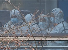 WHO kết thúc điều tra nguồn gốc đại dịch ở Trung Quốc: Vẫn còn nhiều điều bí ẩn