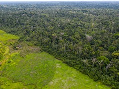 Brazil có vệ tinh “nhà làm” đầu tiên theo dõi rừng Amazon