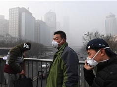 Người dân Trung Quốc sẵn sàng chi tiền để loại bỏ bụi mịn trong không khí