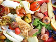 LHQ: Thế giới lãng phí gần 1 tỷ tấn thực phẩm mỗi năm