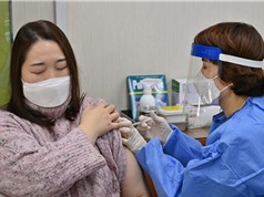 Hàn Quốc: Không có mối liên hệ giữa các ca tử vong và vaccine COVID-19