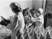 Vụ cướp vaccine chấn động Canada năm 1959