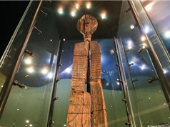 Bức tượng gỗ nói với chúng ta điều gì về lịch sử loài người?