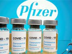 Vaccine Covid-19 của Pfizer đạt hiệu quả 100% với trẻ từ 12 đến 15 tuổi