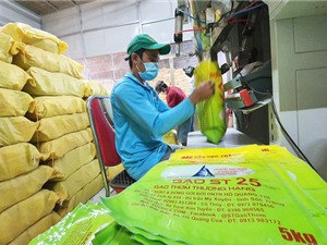 Cục Sở hữu trí tuệ: Không thể bảo hộ nhãn hiệu ST25 cho sản phẩm gạo