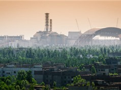 Phát hiện mới về ảnh hưởng di truyền của bức xạ từ thảm họa Chernobyl