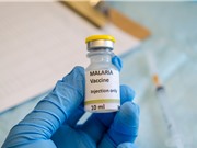 Vaccine sốt rét lần đầu tiên đạt yêu cầu về tính hiệu quả của WHO