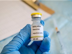 Vaccine sốt rét lần đầu tiên đạt yêu cầu về tính hiệu quả của WHO