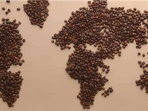 [Video] Đã tìm thấy hạt cà phê ngon nhất thế giới