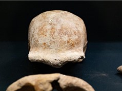 Tìm thấy hài cốt của chín người Neanderthal trong hang động phía nam Rome
