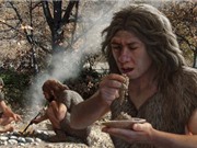 Người Neanderthal phát triển bộ não nhờ ăn nhiều tinh bột