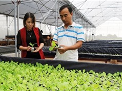Đòn bẩy để kinh tế Bắc Giang tăng trưởng bền vững