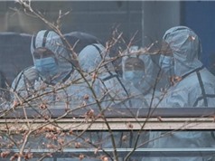 Mỹ thúc đẩy điều tra độc lập về nguồn gốc của virus SARS-CoV-2