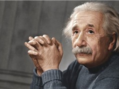 Albert Einstein dự đoán về siêu giác quan của động vật
