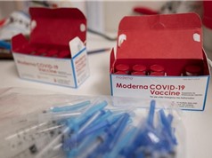 Moderna khẳng định độ an toàn của vaccine đối với thanh thiếu niên