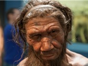 DNA từ bụi trong hang động gợi mở về cuộc sống của người Neanderthal