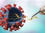SARS-CoV-2 đột biến ảnh hưởng đến hiệu lực của vaccine?