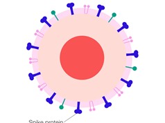 Tiêm vaccine vẫn nhiễm COVID: Hiểu sao cho đúng?