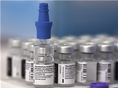 Vaccine của AstraZeneca, Pfizer hiệu quả với biển thể Delta, Kappa