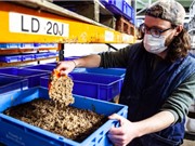 WWF kêu gọi Anh cho phép dùng côn trùng làm thức ăn gia súc để giảm nạn phá rừng