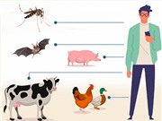 Con đường lây truyền dịch bệnh từ động vật sang người
