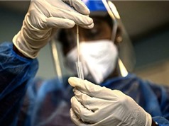Bỉ: Ca bệnh hiếm gặp khi nhiễm cùng lúc 2 biến thể virus SARS-CoV-2