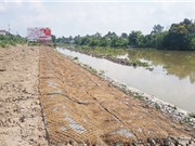 Chế tạo vật liệu phòng chống xói lở, bồi lắng cho sông, rạch từ phụ phẩm nông nghiệp 