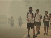 Ô nhiễm không khí ảnh hưởng đến học lực của trẻ em