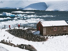 Nam Cực - Những căn cứ bị bỏ hoang
