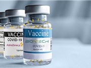 Các loại vaccine ngừa COVID-19 đều có hiệu quả với những biến thể mới