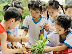 Công bằng trong tiếp cận giáo dục ở Việt Nam