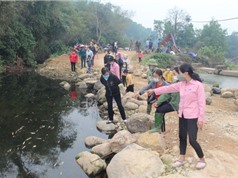 Ô nhiễm nước thải chăn nuôi: Không chỉ là chuyện riêng của Hà Nội