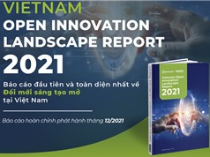 Khởi động Báo cáo Toàn cảnh Đổi mới sáng tạo mở tại Việt Nam 