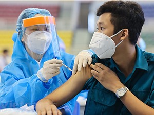 Chiến lược tiêm vaccine cho Việt Nam