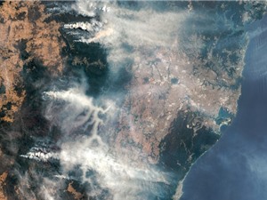 Cháy rừng ở Úc thải ra lượng carbon nhiều gấp 2,6 lần ước tính ban đầu