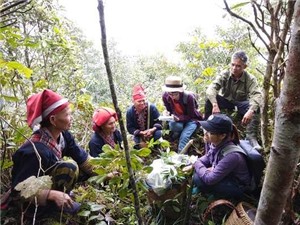 Đa dạng bài thuốc tắm người Dao