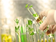 Bộ KH&CN: Xây dựng cơ chế chính sách để phát triển công nghiệp sinh học ngành Công thương
