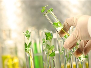 Bộ KH&CN: Xây dựng cơ chế chính sách để phát triển công nghiệp sinh học ngành Công thương