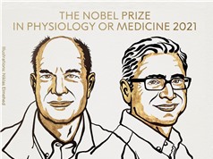 Ardem Patapoutian và David Julius giành Giải Nobel Y sinh 2021