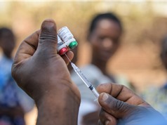 WHO phê duyệt vaccine sốt rét đầu tiên ở châu Phi